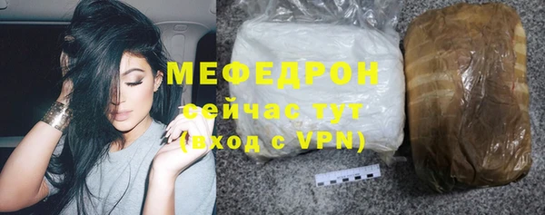 гашик Дубна